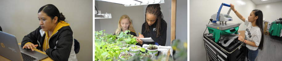 Series of images: student at computer, students taking notes in front of plants, student printing tshirts